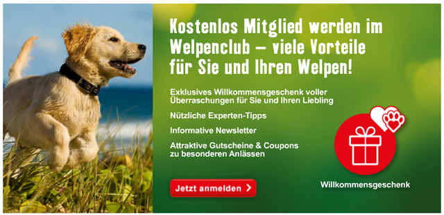 Gratis Willkommensgeschenk für Welpen