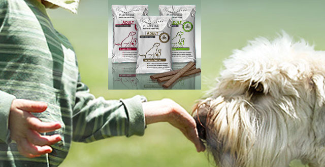 Kostenlose Produktprobe Hundefutter plus Kausticks